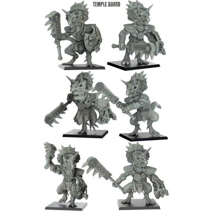 Pack de 6 garde du temple