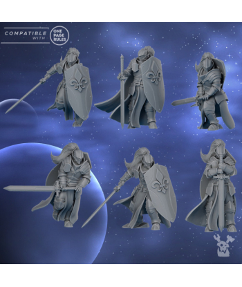 Lot Chevaliers du croisant...