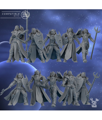 Escouade Silver Guards