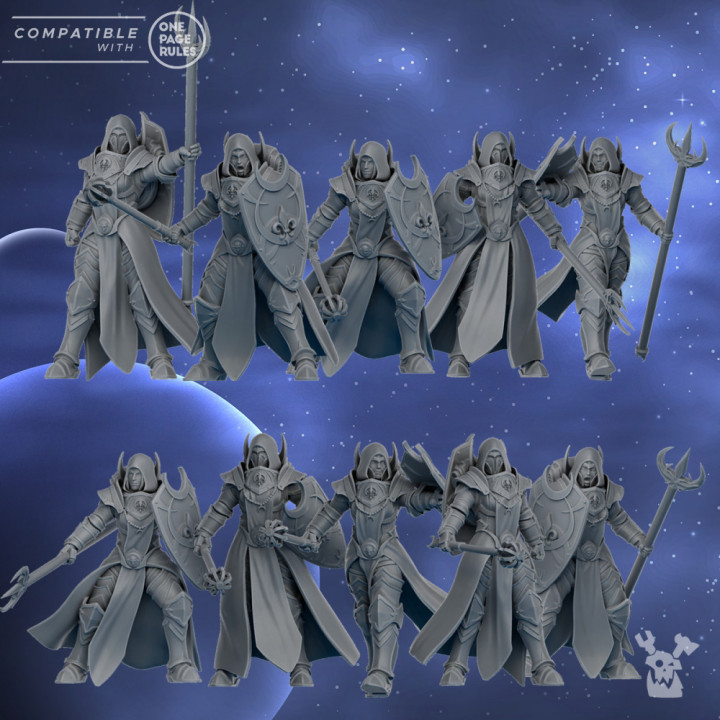 Escouade Silver Guards